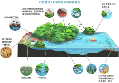 世界海洋日 | 保護(hù)海洋生態(tài)系統(tǒng)，人與自然和諧共生