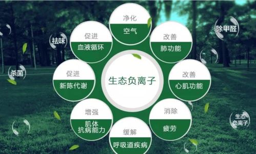 我家使用薇伊負離子空氣凈化器的真實體驗與對自然生態(tài)系統(tǒng)保護的思考