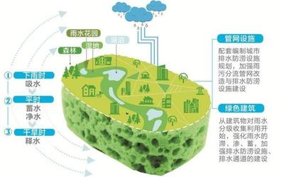溫州全面推進海綿城市建設 市區(qū)建成區(qū)25%以上面積今年達到“水彈性”要求，強化自然生態(tài)系統(tǒng)保護管理